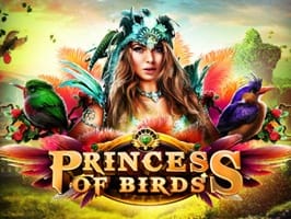 Princess of Birds screenshot